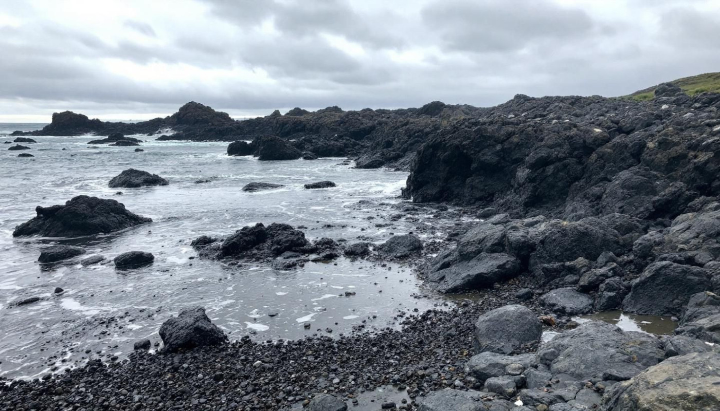 Comment les innovations en matière d'absorbant hydrocarbures améliorent-elles la gestion environnementale ?